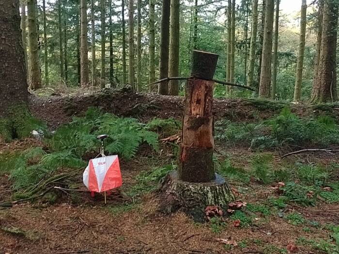 IMG 20251024 134557 HDR