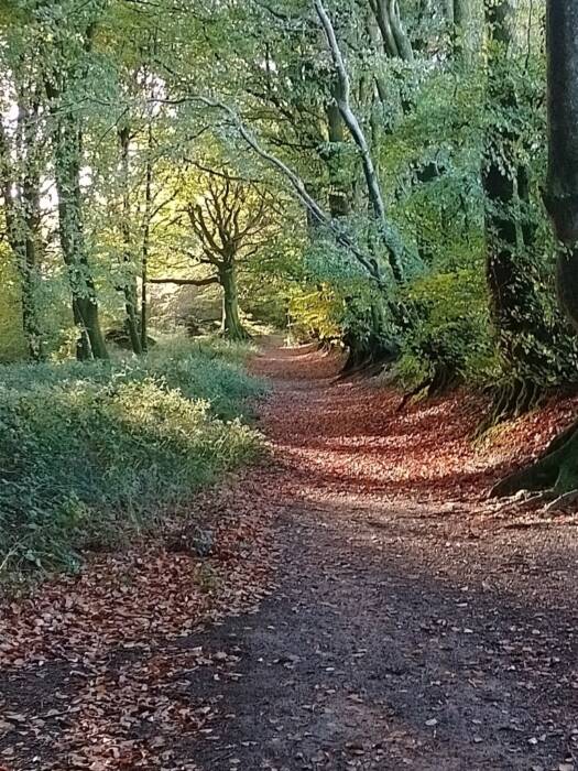 IMG 20251025 091122 HDR