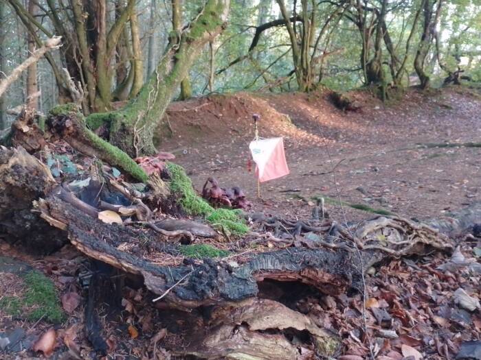 IMG 20251025 092851 HDR