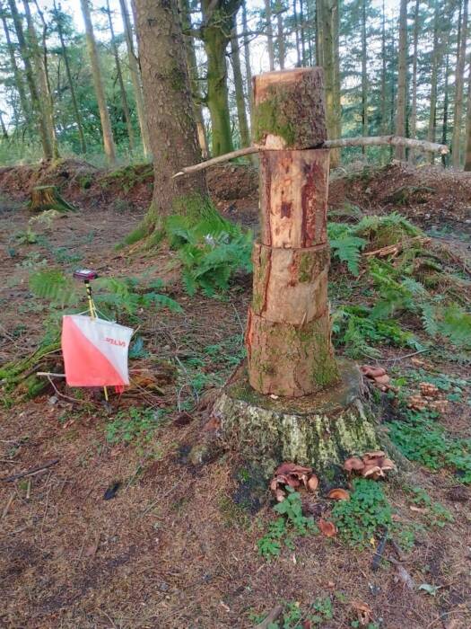 IMG 20251025 093332 HDR