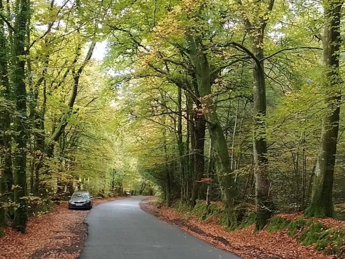 IMG 20251025 095623 HDR