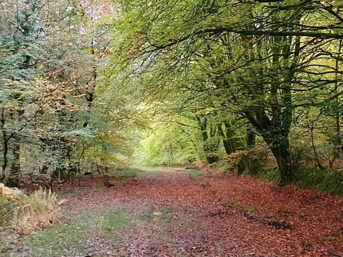 IMG 20251025 095708 HDR