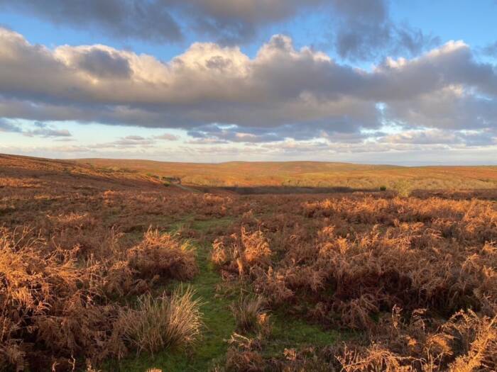 Thumbnail IMG 1693 2025 11 30 175923 lrem