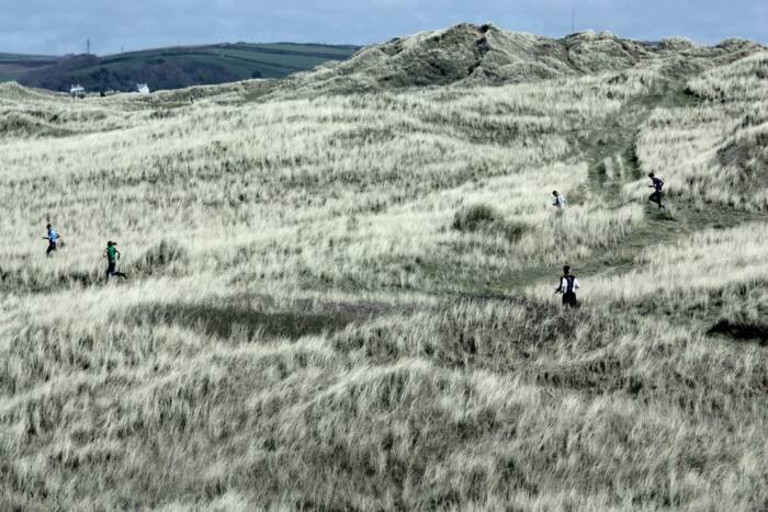 Braunton Burrows, JK 2010