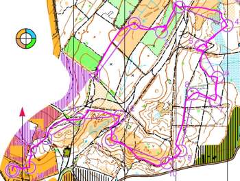 Winner's route on Sarah's course at Ambersham Common