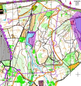 Top runner's route on Sarah's course, Holmbush