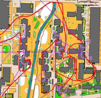 A leading runner's GPS route on Sarah's sprint course