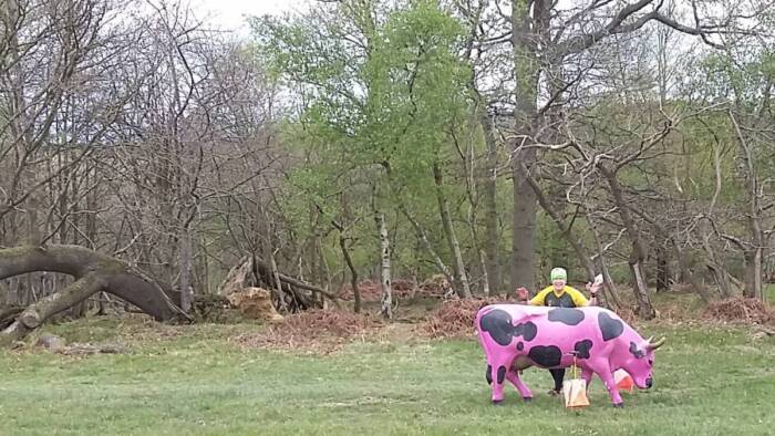 Steve R milking it for the camera