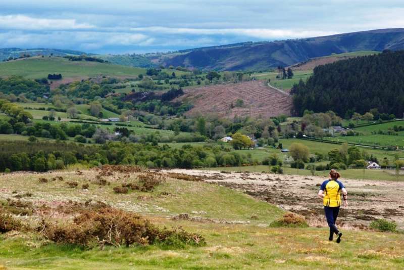 Rorrington & Stapley on 2015 day 2