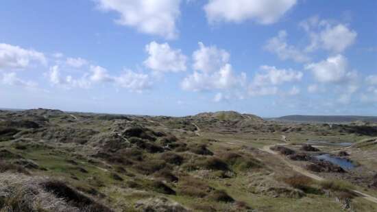 Braunton Burrows