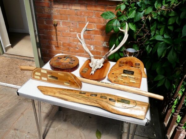 Qofl Trophies